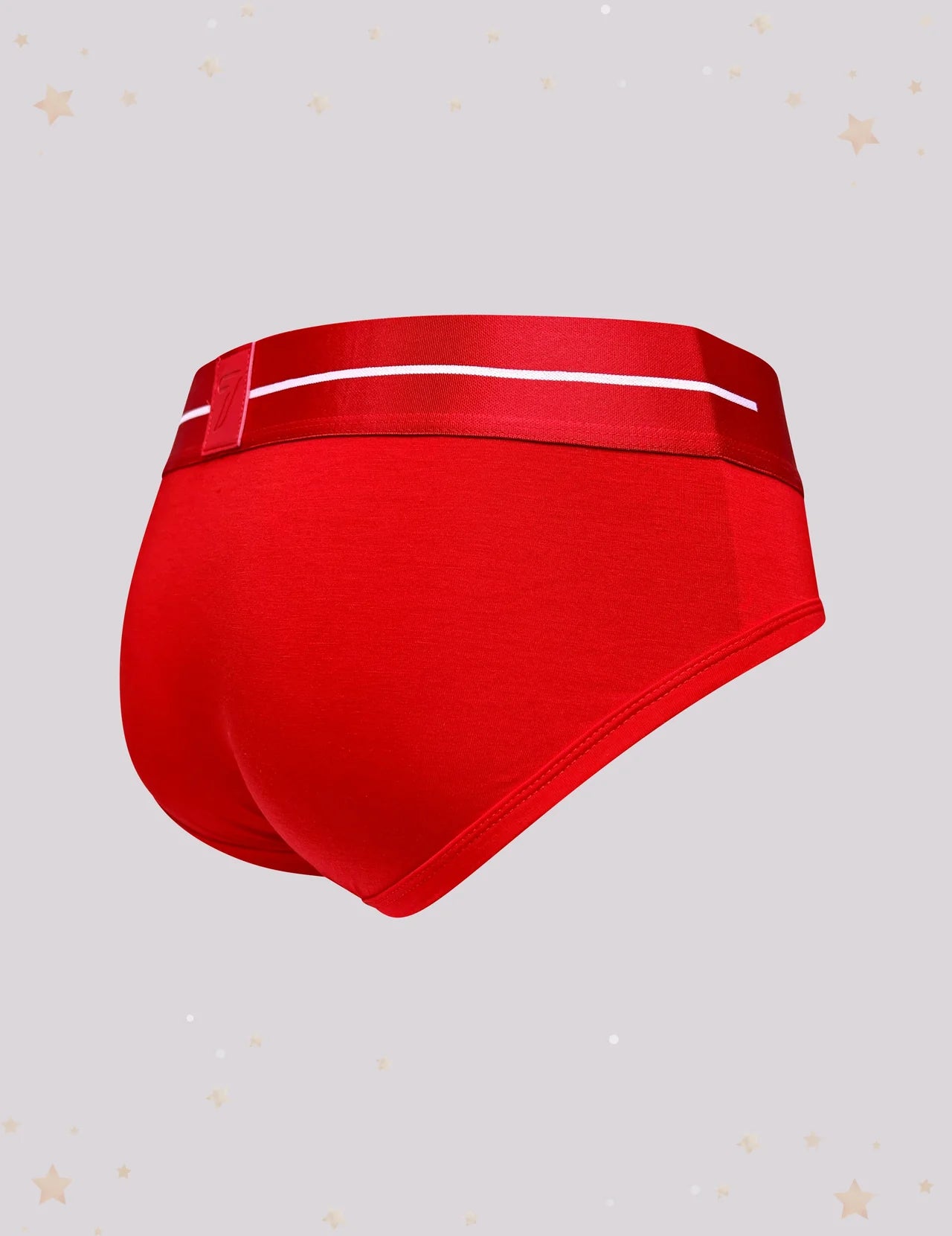 Limited Edition Red Briefs