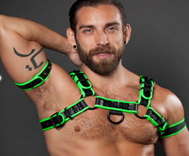 Classic Bulldog Harness – Green & Black