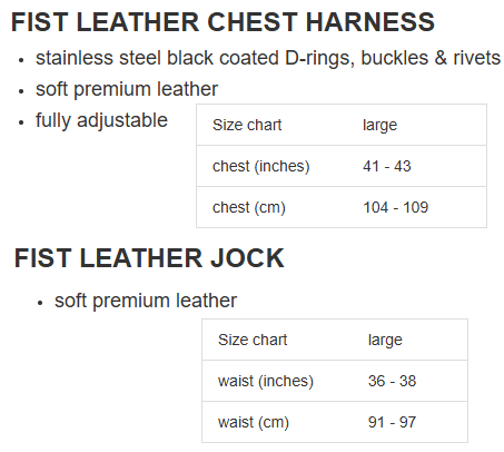 Leather Harness & Leather Jock in Black - YOU GET BOTH