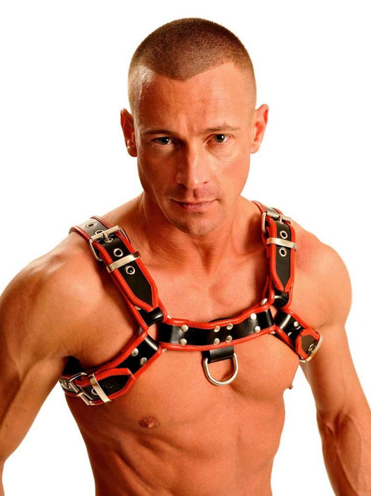 Harness - Red -Large