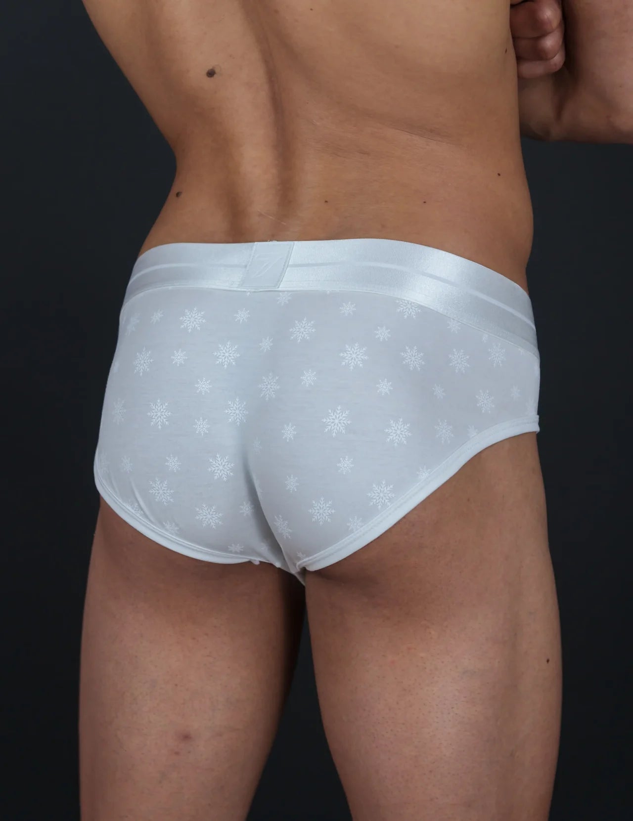 Snowflake Briefs