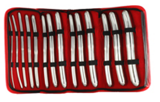 Hegar Double-Ended Urethral Sounds – 14 Piece Stainless Steel Set
