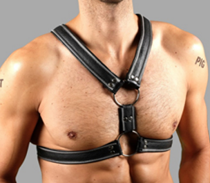 Z Series Scottish Harness – Genuine Leather - 5 COLOURS