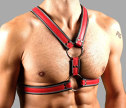 Z Series Scottish Harness – Genuine Leather - 5 COLOURS