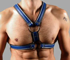 Z Series Scottish Harness – Genuine Leather - 5 COLOURS