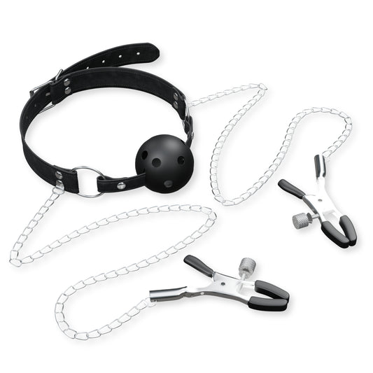 Gag and Nipple Clips