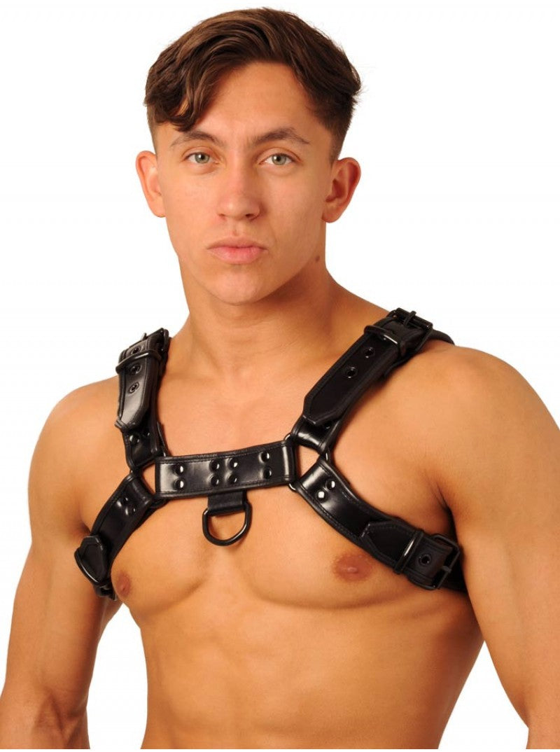 Harness - Black Large