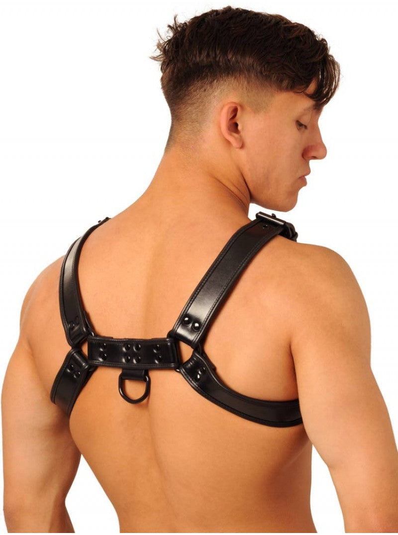 Harness - Black Large