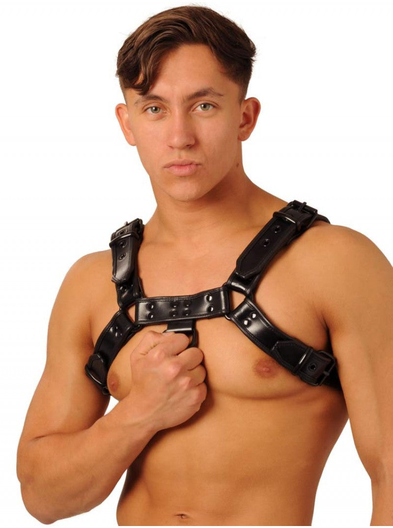Harness - Black Large