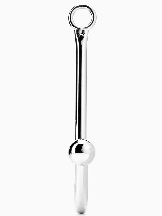 BDSM Anal Hook