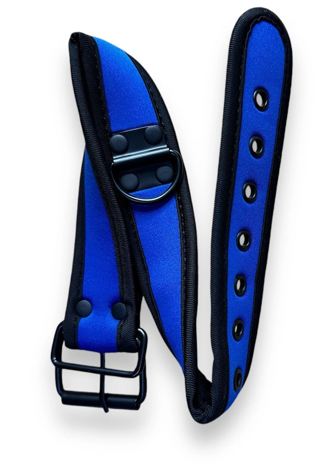Bondage BDSM Role Play Neoprene Dog Collar with Buckles and D Loop - Various Colours IN THE SALE