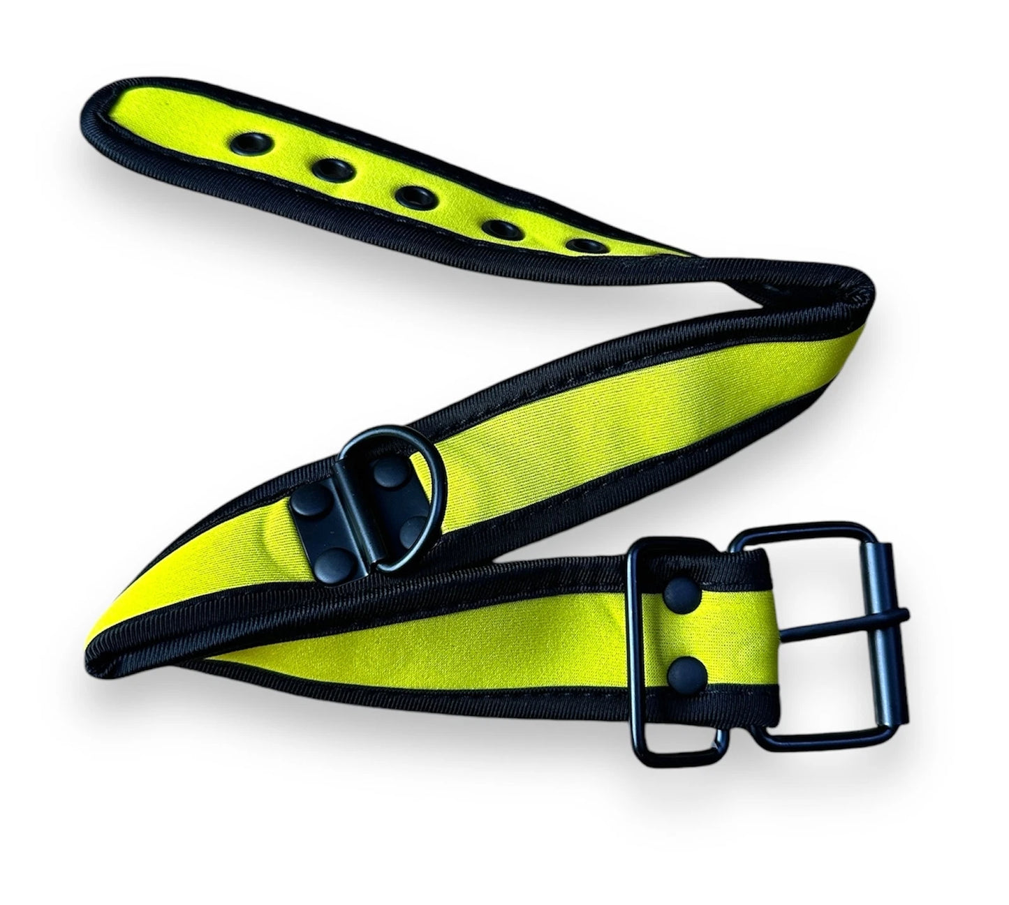 Bondage BDSM Role Play Neoprene Dog Collar with Buckles and D Loop - Various Colours IN THE SALE