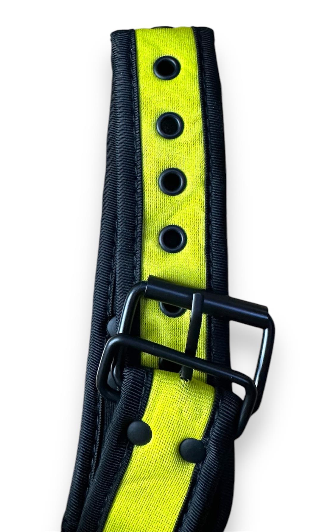 Bondage BDSM Role Play Neoprene Dog Collar with Buckles and D Loop - Various Colours IN THE SALE